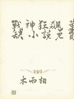 战神狂飙 叶无缺 小说免费阅读封面