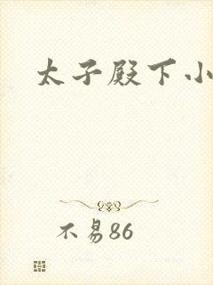太子殿下小说