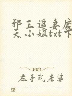 邪王追妻废材逆天小姐txt下载