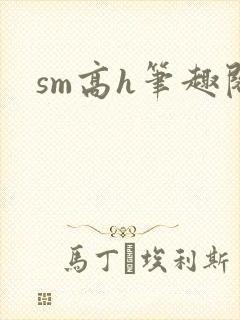 sm高h笔趣阁