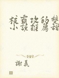 校霸攻的双男主小说推荐甜文