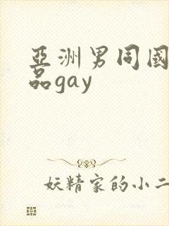亚洲男同国产精品gay封面