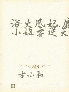 浴火凰妃.废材小姐要逆天封面