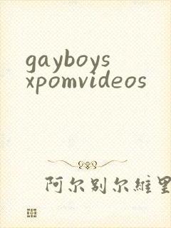 gayboysxpomvideos