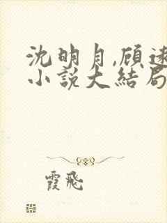 沈明月,顾远舟小说大结局