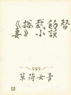《总裁的替身前妻》小说