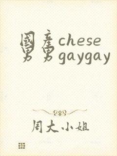国产chese男男gaygay