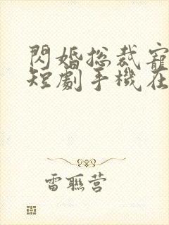闪婚总裁宠上天短剧手机在线观看