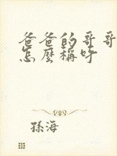爸爸的哥哥弟弟怎么称呼