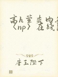 高h荤爽肉欲文〈np〉在线阅读