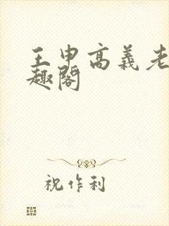 王申高义老七笔趣阁