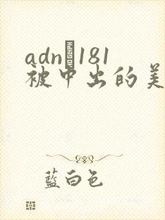adn–181被中出的美丽人妻封面
