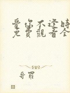爱你不逢时短剧免费观看全集