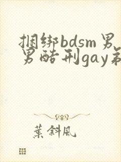 捆绑bdsm男男酷刑gay剃毛