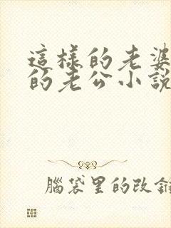 这样的老婆那样的老公小说