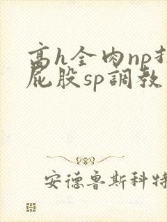 高h全肉np打屁股sp调教