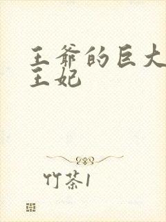 王爷的巨大进入王妃
