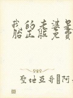 我的老婆是双胞胎正版免费阅读封面