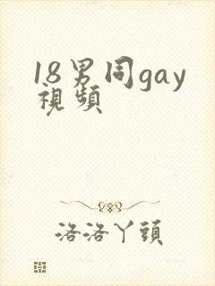 18男同gay视频