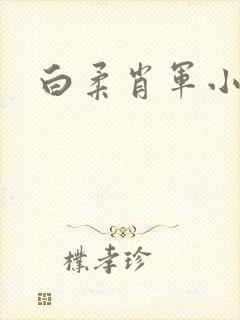 白柔肖军小说