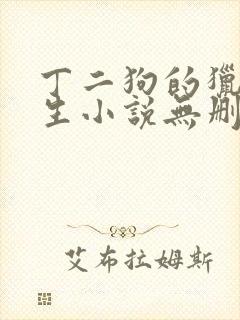 丁二狗的猎艳人生小说无删减小说封面