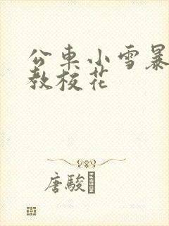 公车小雪暴露调教校花封面