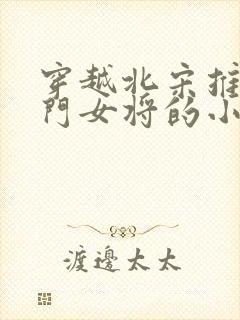 穿越北宋推倒杨门女将的小说