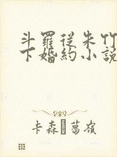 斗罗从朱竹清订下婚约小说