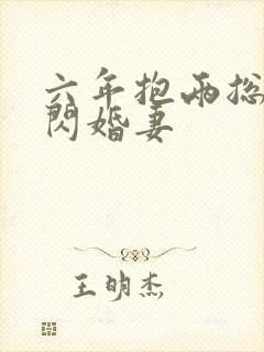六年抱两总裁的闪婚妻封面