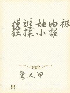 摸进她内裤里疯狂揉小说