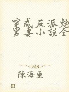 穿成反派炮灰的男妻小说全文阅读封面