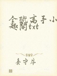 全职高手小说笔趣阁txt