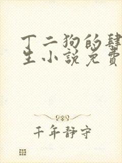 丁二狗的肆意人生小说免费阅读全文完整版