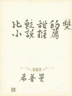 比较甜的双男主小说推荐封面