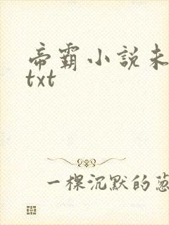 帝霸小说未删版txt