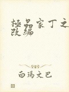 极品家丁之绿帽改编