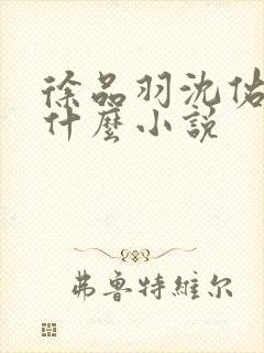 徐品羽沈佑白是什么小说