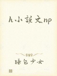 h小说文np封面