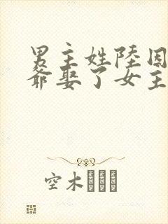 男主姓陆因为爷爷娶了女主的小说