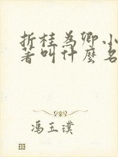 折桂为卿小说原著叫什么名字封面