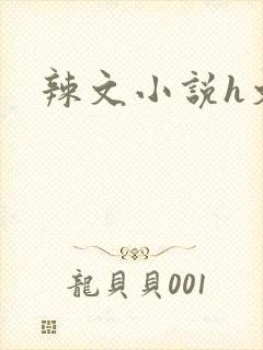 辣文小说h文