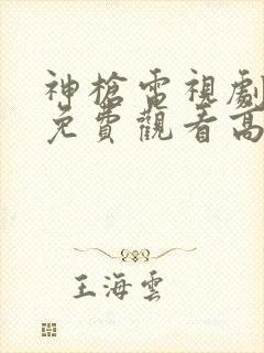 神枪电视剧全集免费观看高清