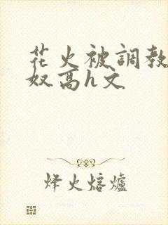 花火被调教成肉奴高h文