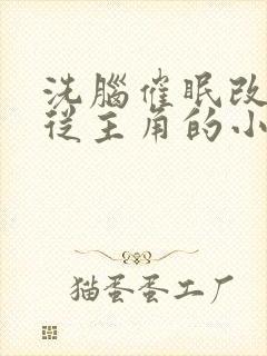 洗脑催眠改造服从主角的小说