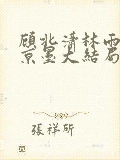 顾北潇林雨菲谢京墨大结局