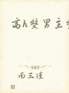 高h双男主双性