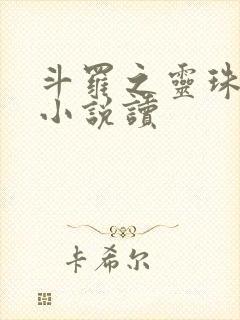 斗罗之灵珠神剑小说读