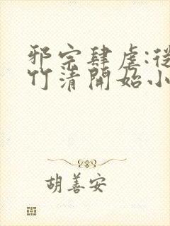 邪宗肆虐:从朱竹清开始小说