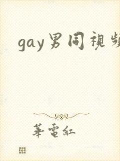 gay男同视频