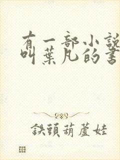 有一部小说主角叫叶凡的书名